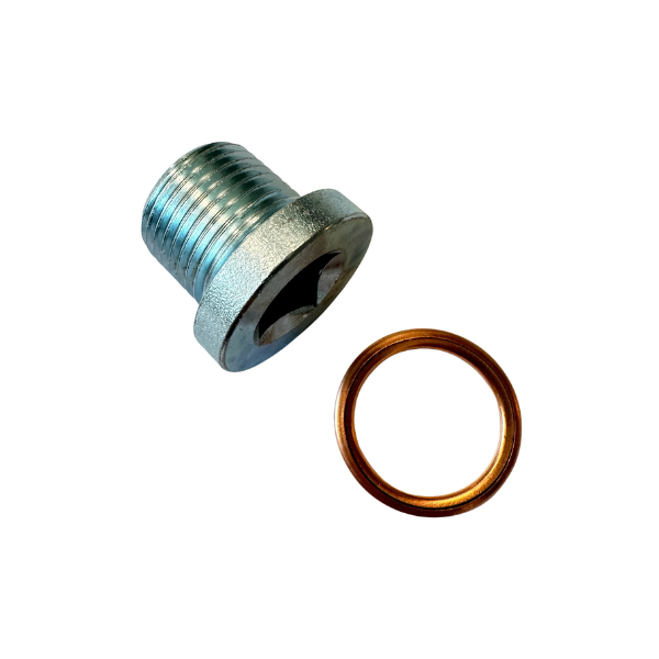 30017BL - KIT BOUCHON DE CARTER + JOINT PSA RENAULT - DIAM. M18X150x15